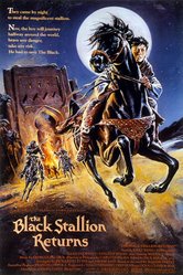 ilritornodiblackstallion