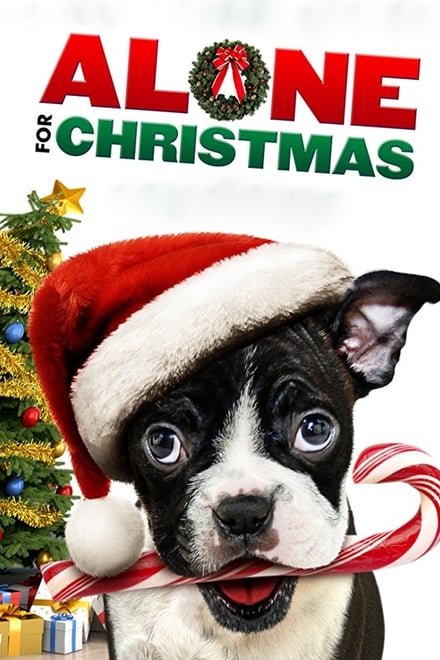 Mamma ho perso il cane – Alone for Christmas