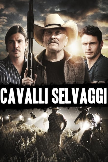 Cavalli selvaggi – Wild Horses