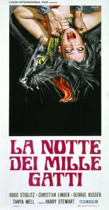 La notte dei mille gatti