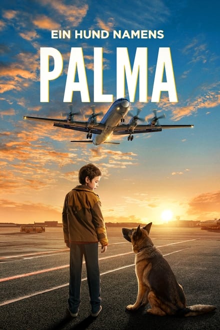 Palma – un amore di cane